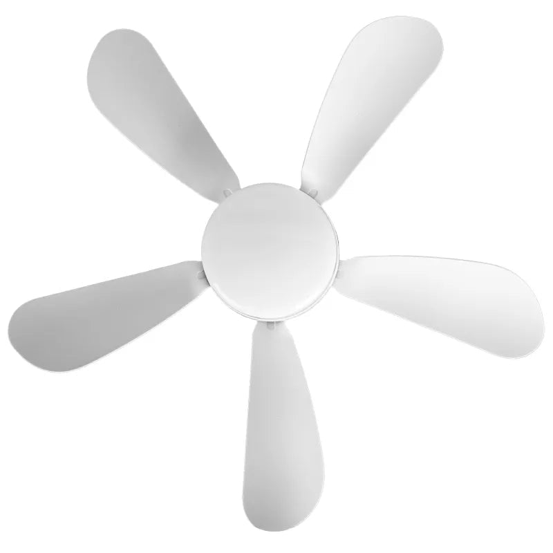 Modern ceiling fan with LED - 50% Off + Free Shipping - Last Day promotion! -